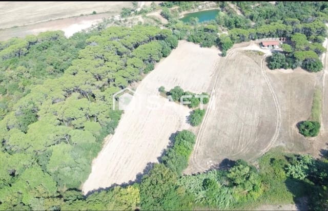 Terre non Aménagée à vendre à La Goba, Vidreres - 130 000 € (Ref: 10020405)