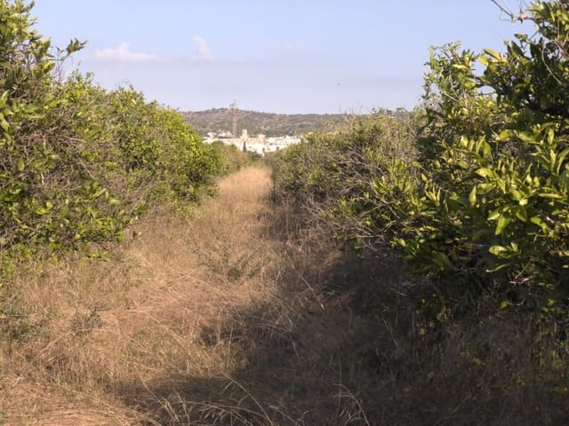 Grond te koop in Alcanar - € 38.000 (Ref: 10037164)