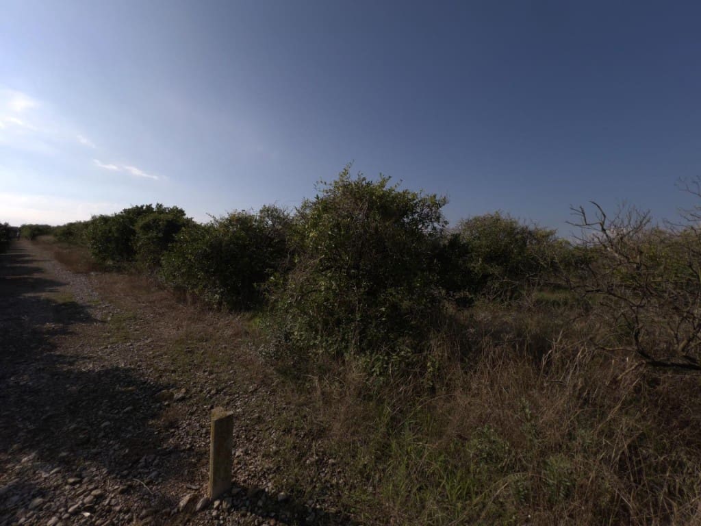Grond te koop in Alcanar - € 38.000 (Ref: 10037164)