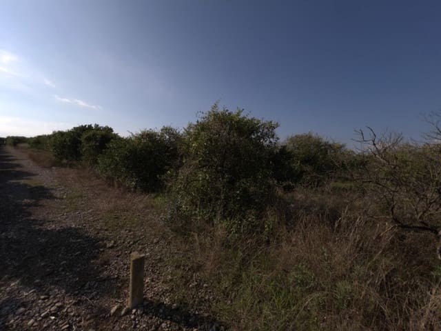 Grond te koop in Alcanar - € 38.000 (Ref: 10037164)