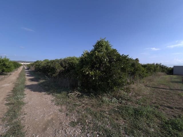 Grond te koop in Alcanar - € 38.000 (Ref: 10037164)