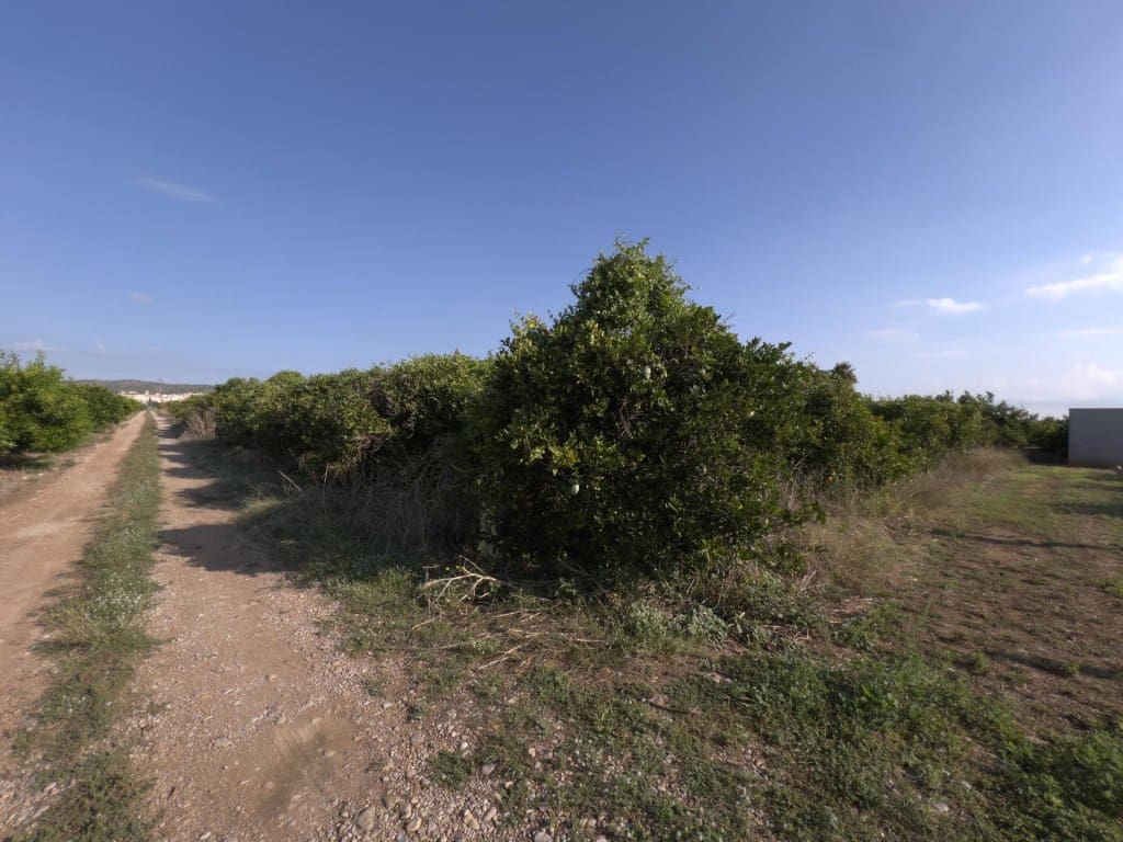 Grond te koop in Alcanar - € 38.000 (Ref: 10037164)
