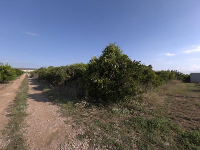 Grond te koop in Alcanar - € 38.000 (Ref: 10037164)