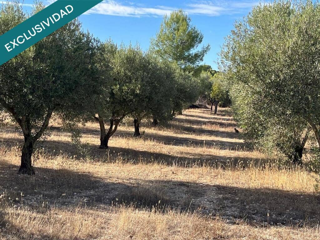 3 soveværelse Finca/Landehus til salg i Almansa med swimmingpool garage - € 295.000 (Ref: 10054911)