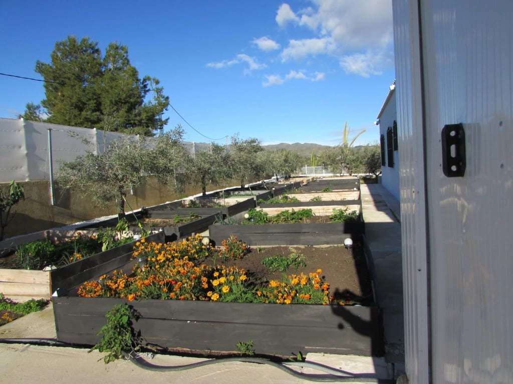 3 bedroom Finca/Country House for sale in Los Gallardos with garage - € 549,000 (Ref: 10058772)