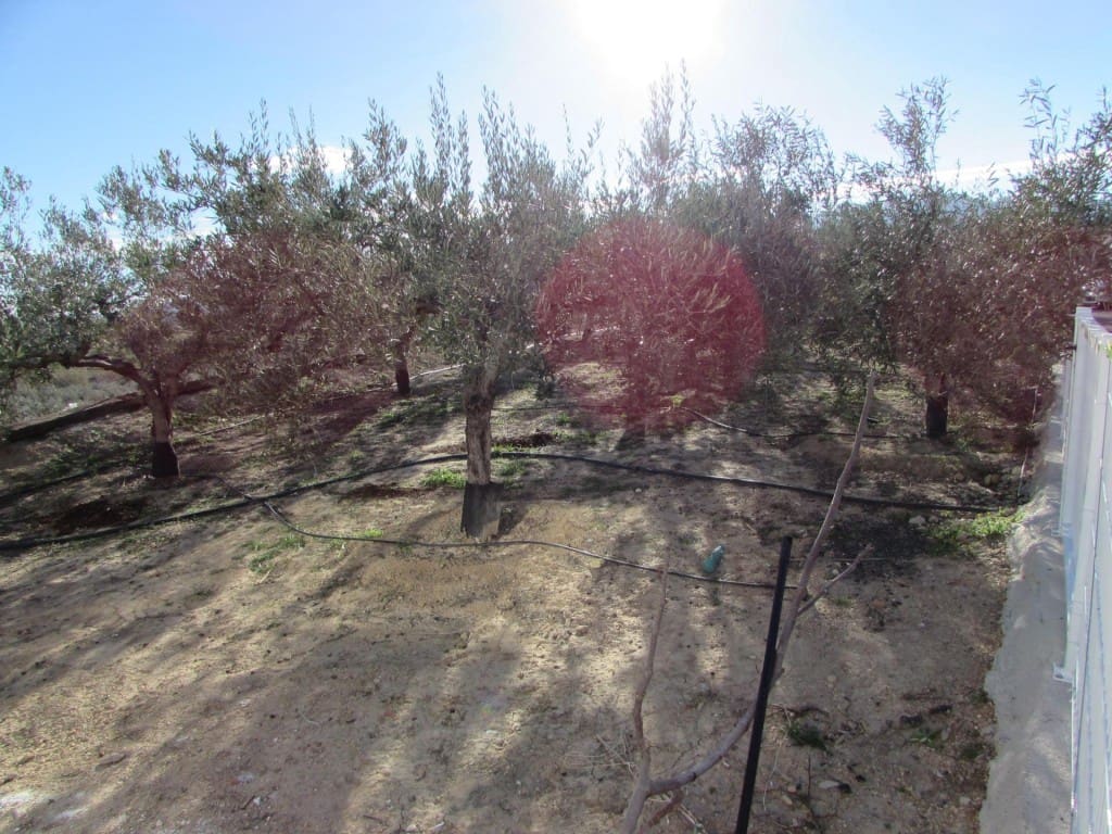 3 bedroom Finca/Country House for sale in Los Gallardos with garage - € 549,000 (Ref: 10058772)
