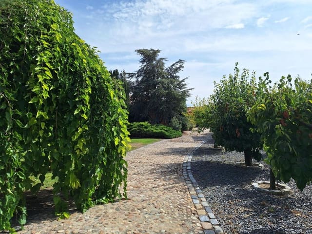 3 soveværelse Finca/Landehus til salg i Peñaranda de Bracamonte - € 330.000 (Ref: 10064041)