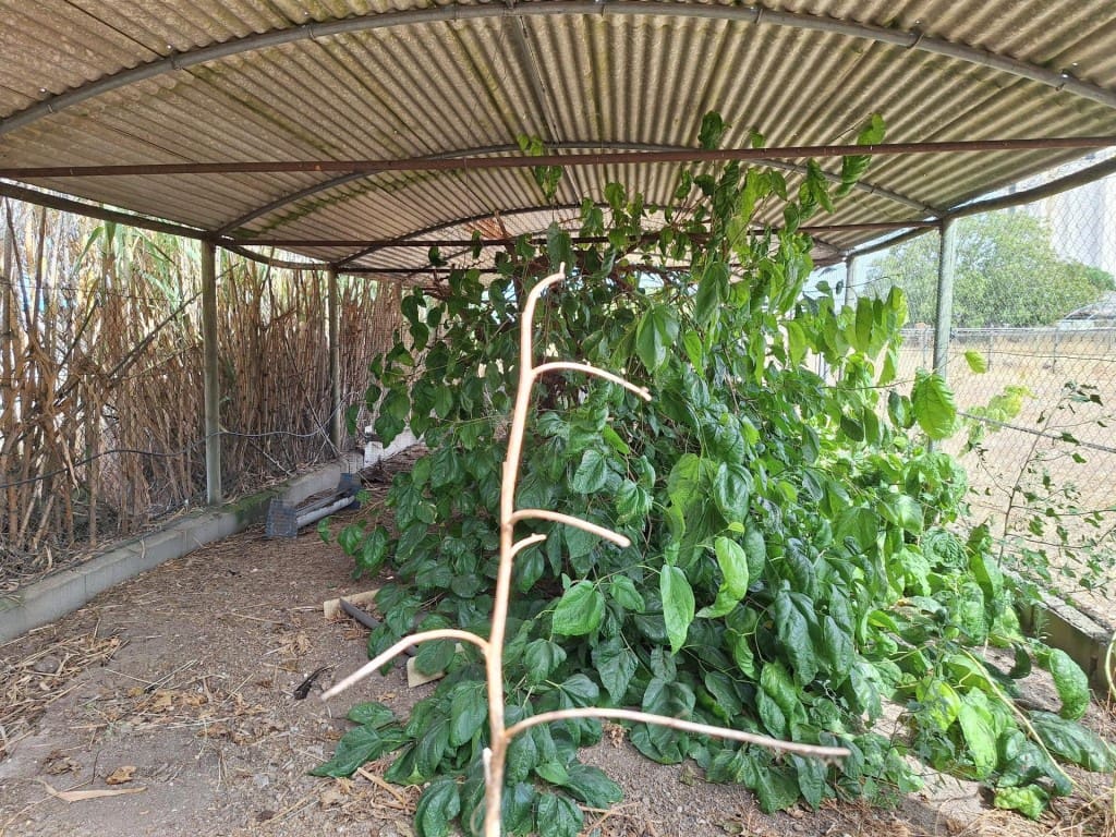 Finca/Casa Rural de 3 habitaciones en Peñaranda de Bracamonte en venta con garaje - 330.000 € (Ref: 10064041)