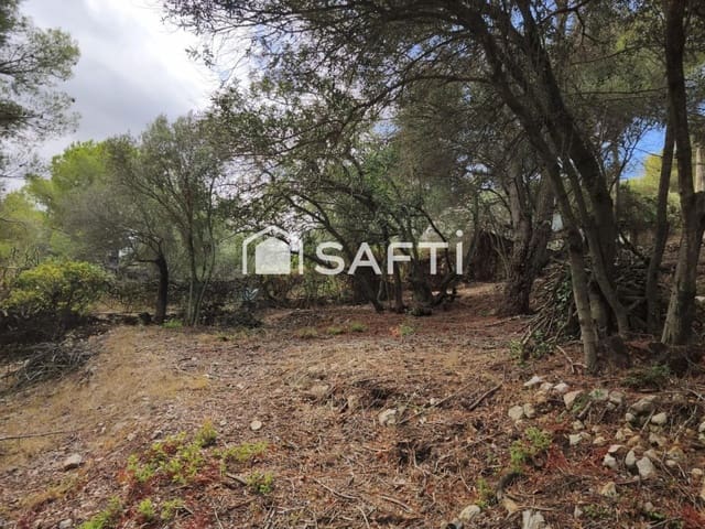 Terreno para Construção para venda em La Bisbal del Penedès - 25 000 € (Ref: 10102226)