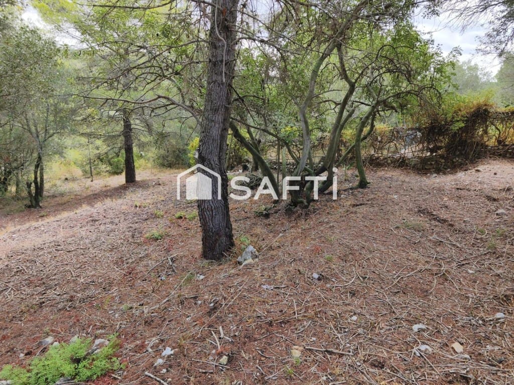 Terreno para Construção para venda em La Bisbal del Penedes - 25 000 € (Ref: 10102226)