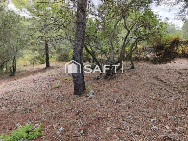 Terreno para Construção para venda em La Bisbal del Penedès - 25 000 € (Ref: 10102226)