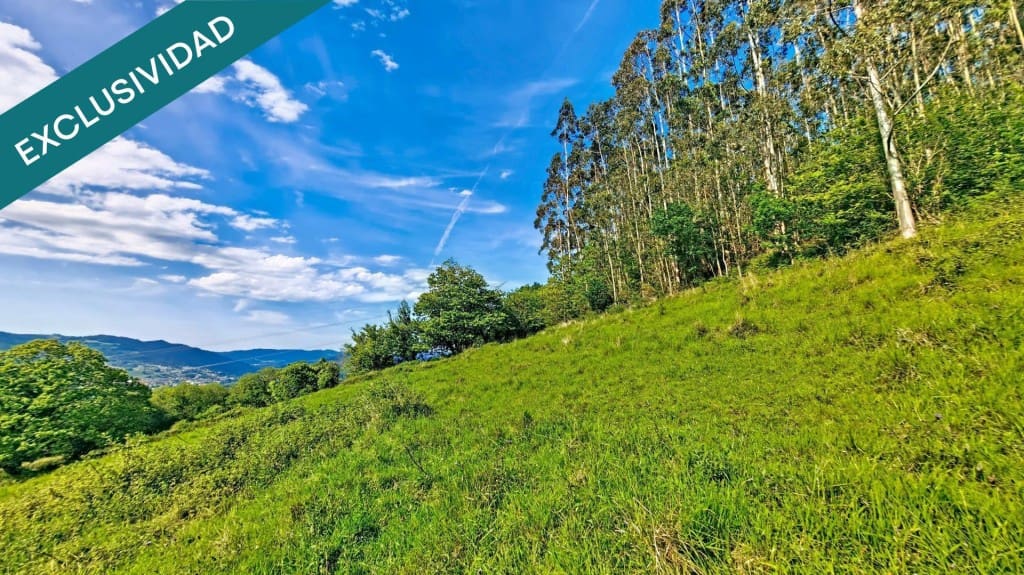 Undeveloped Land for sale in Grado - € 39,000 (Ref: 10146729)