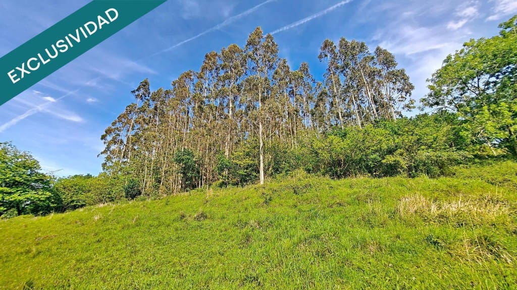 Undeveloped Land for sale in Grado - € 39,000 (Ref: 10146729)