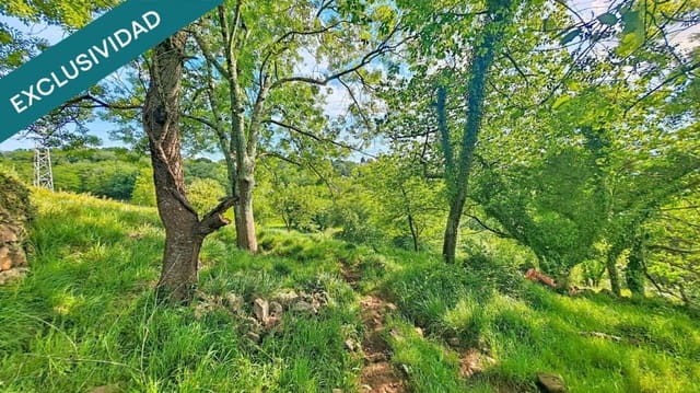 Undeveloped Land for sale in Grado - € 39,000 (Ref: 10146729)