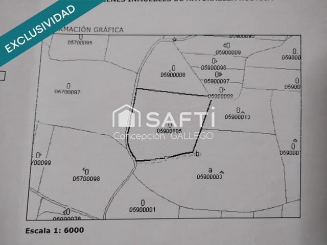 Terre non Aménagée à vendre à Campo de Criptana - 36 000 € (Ref: 10173501)