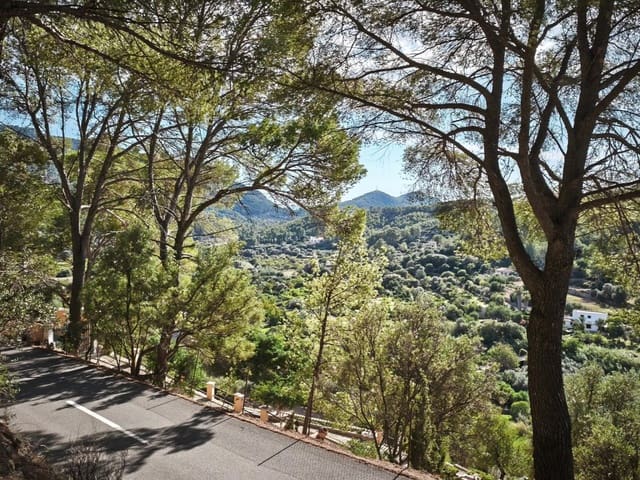 Terre non Aménagée à vendre à Andratx - 94 900 € (Ref: 10177037)