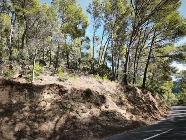 Terre non Aménagée à vendre à Andratx - 94 900 € (Ref: 10177037)