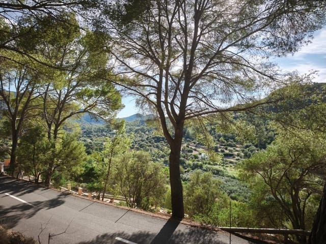 Terre non Aménagée à vendre à Andratx - 94 900 € (Ref: 10177037)