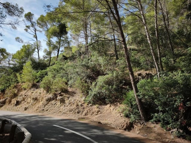 Terre non Aménagée à vendre à Andratx - 94 900 € (Ref: 10177037)