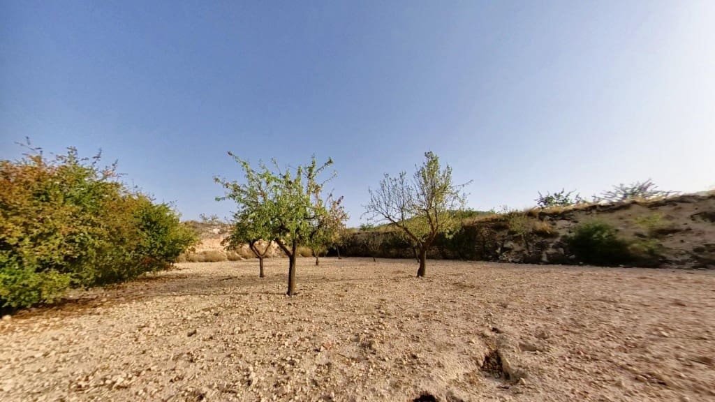 Terreno/Finca Rústica en Monóvar / Monóver en venta - 70.000 € (Ref: 10182900)