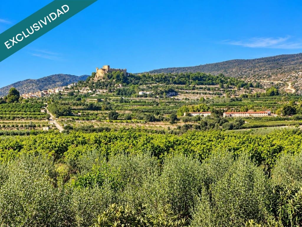 Grond te koop in Montesa - € 72.000 (Ref: 10182915)