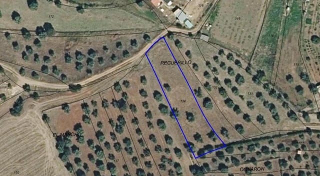 Landgrundstück zu verkaufen in Torrico - 6.500 € (Ref: 8455146)