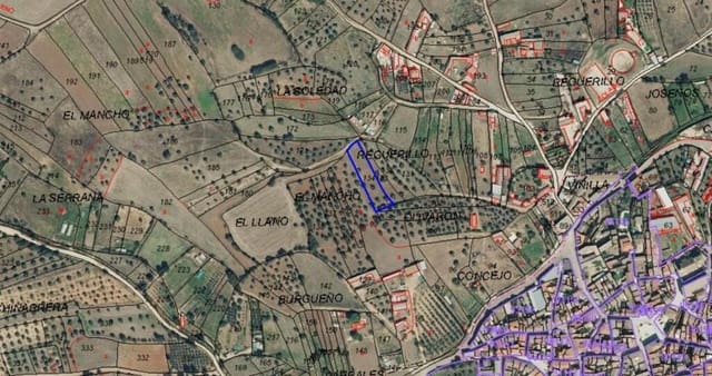 Landgrundstück zu verkaufen in Torrico - 6.500 € (Ref: 8455146)