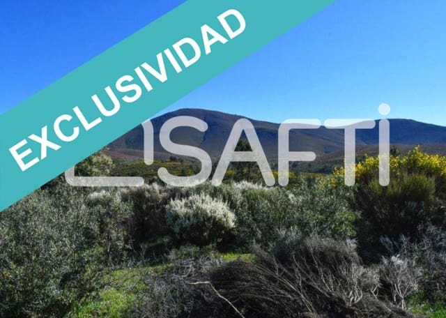 Terreno/Finca Rústica en Acebo en venta - 105.000 € (Ref: 8668327)