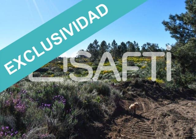 Terreno/Finca Rústica en Acebo en venta - 105.000 € (Ref: 8668327)