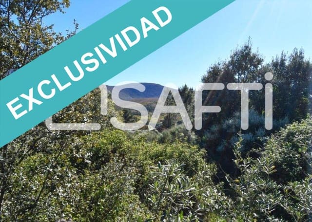 Terreno/Finca Rústica en Acebo en venta - 105.000 € (Ref: 8668327)