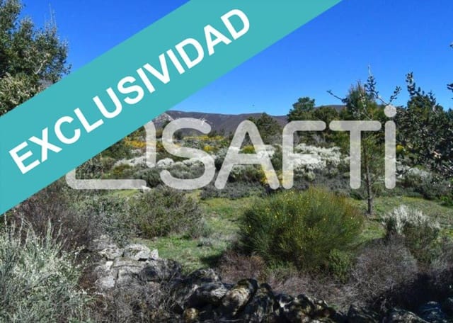 Terreno/Finca Rústica en Acebo en venta - 105.000 € (Ref: 8668327)