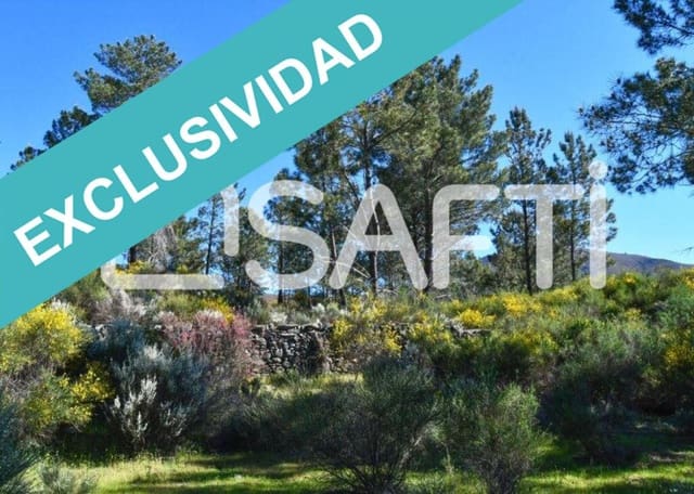Terreno/Finca Rústica en Acebo en venta - 105.000 € (Ref: 8668327)