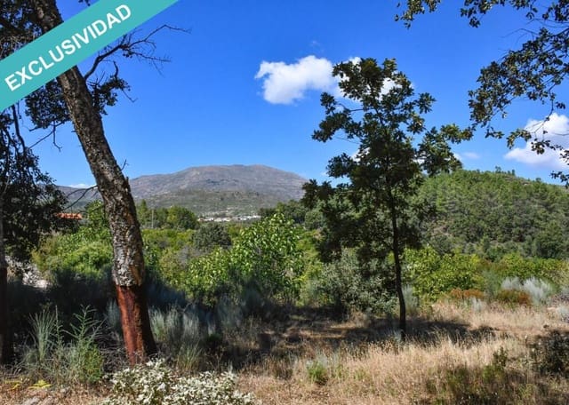 Tontti myytävänä paikassa Acebo - 49 000 € (Ref: 8698012)