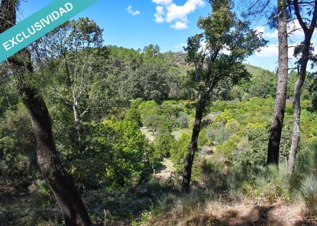 Tontti myytävänä paikassa Acebo - 49 000 € (Ref: 8698012)