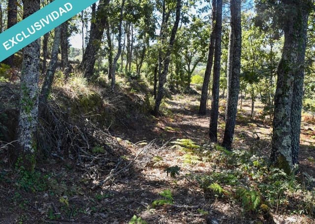 Tontti myytävänä paikassa Acebo - 49 000 € (Ref: 8698012)