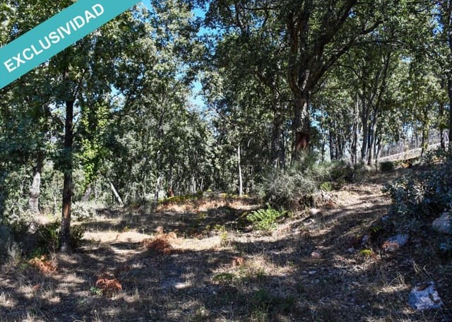 Tontti myytävänä paikassa Acebo - 49 000 € (Ref: 8698012)