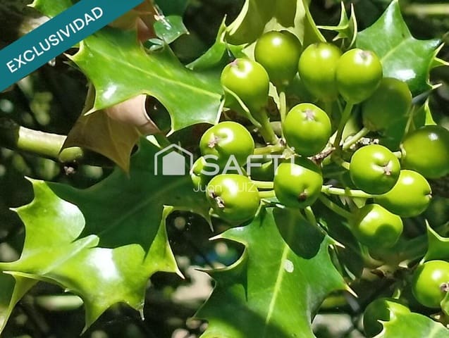 4 makuuhuone Huvila myytävänä paikassa Calabazas de Fuentidueña mukana 
autotalli - 85 000 € (Ref: 8917894)