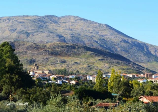 Tontti myytävänä paikassa Acebo - 63 600 € (Ref: 8943988)