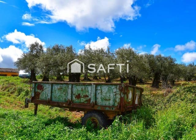 Solar/Parcela en Perales del Puerto en venta - 41.000 € (Ref: 9013875)