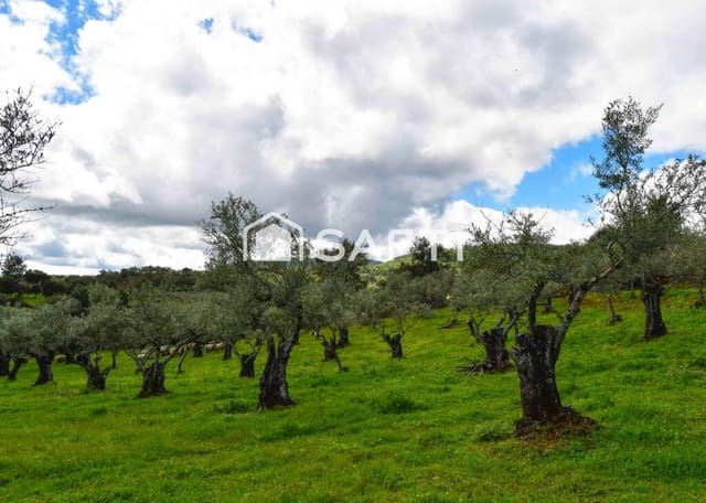 Terreno/Finca Rústica en Perales del Puerto en venta - 120.000 € (Ref: 9013876)