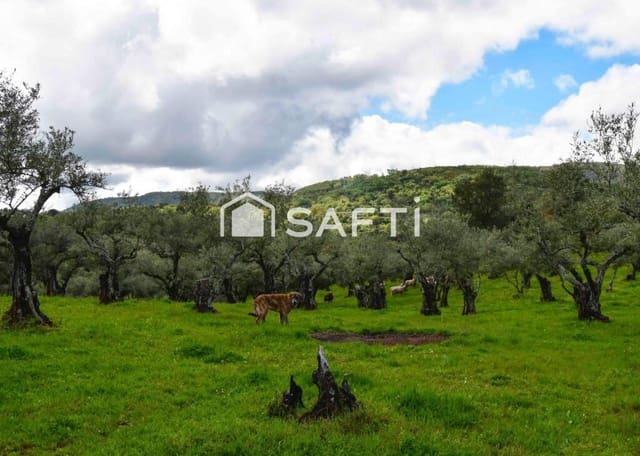 Terreno/Finca Rústica en Perales del Puerto en venta - 120.000 € (Ref: 9013876)