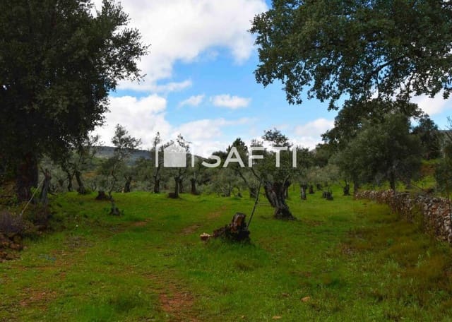 Terreno/Finca Rústica en Perales del Puerto en venta - 120.000 € (Ref: 9013876)