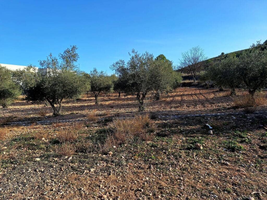 Chalet de 3 habitaciones en Yecla en venta - 149.000 € (Ref: 9173504)