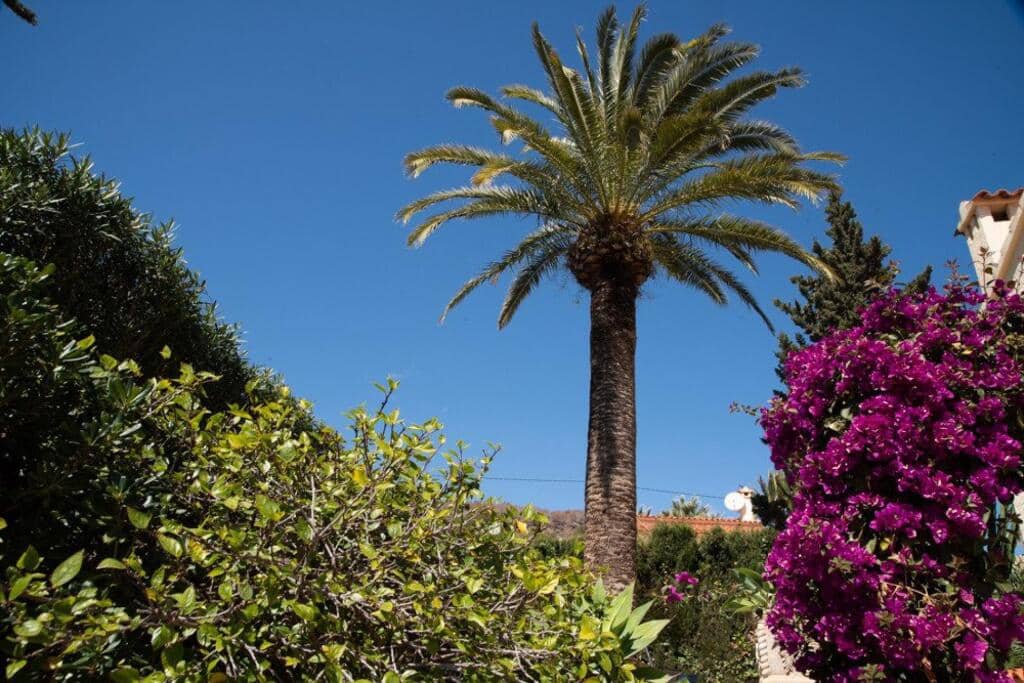 3 camera da letto Villa in vendita in Calpe / Calp con piscina garage - 490.000 € (Rif: 9173544)