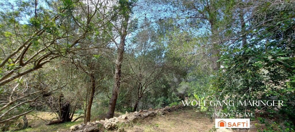 Bouwgrond te koop in Denia - € 114.000 (Ref: 9173574)