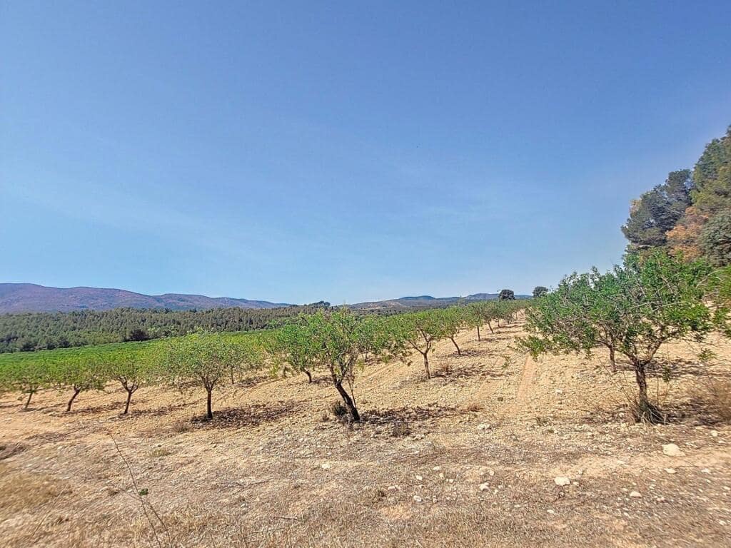 Grunde uden byggetilladelser til salg i Ontinyent - € 740.000 (Ref: 9173588)