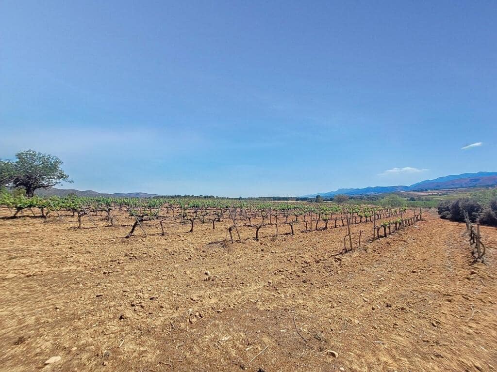 Grunde uden byggetilladelser til salg i Ontinyent - € 740.000 (Ref: 9173588)