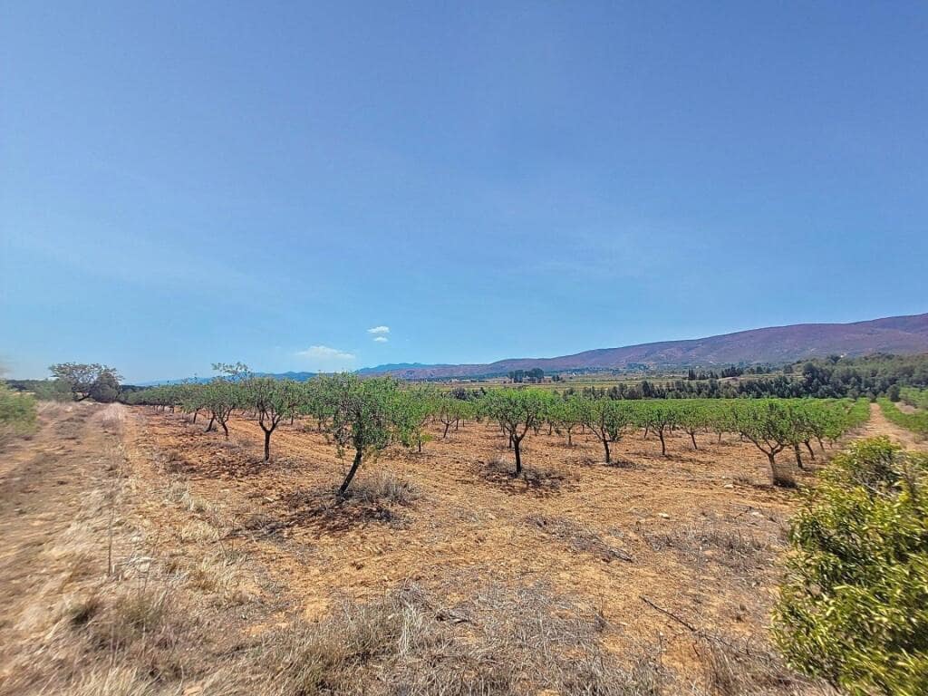 Grunde uden byggetilladelser til salg i Ontinyent - € 740.000 (Ref: 9173588)