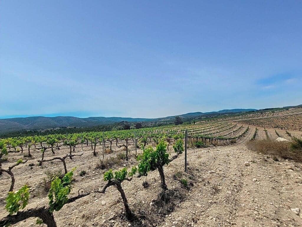 Grunde uden byggetilladelser til salg i Ontinyent - € 740.000 (Ref: 9173588)