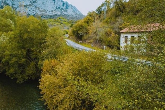 3 slaapkamer Villa te koop in Quirós - € 69.000 (Ref: 9173595)